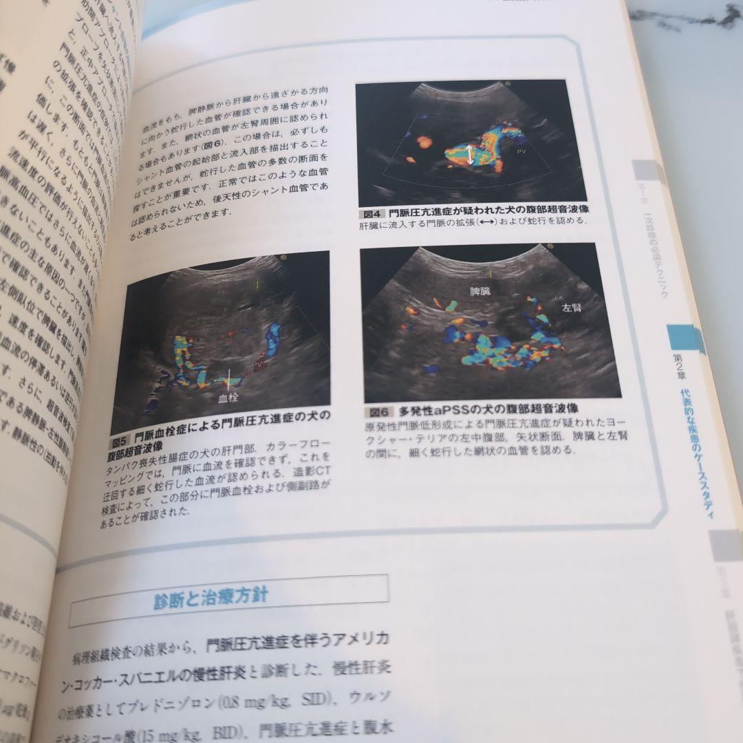 犬と猫の肝・胆・膵