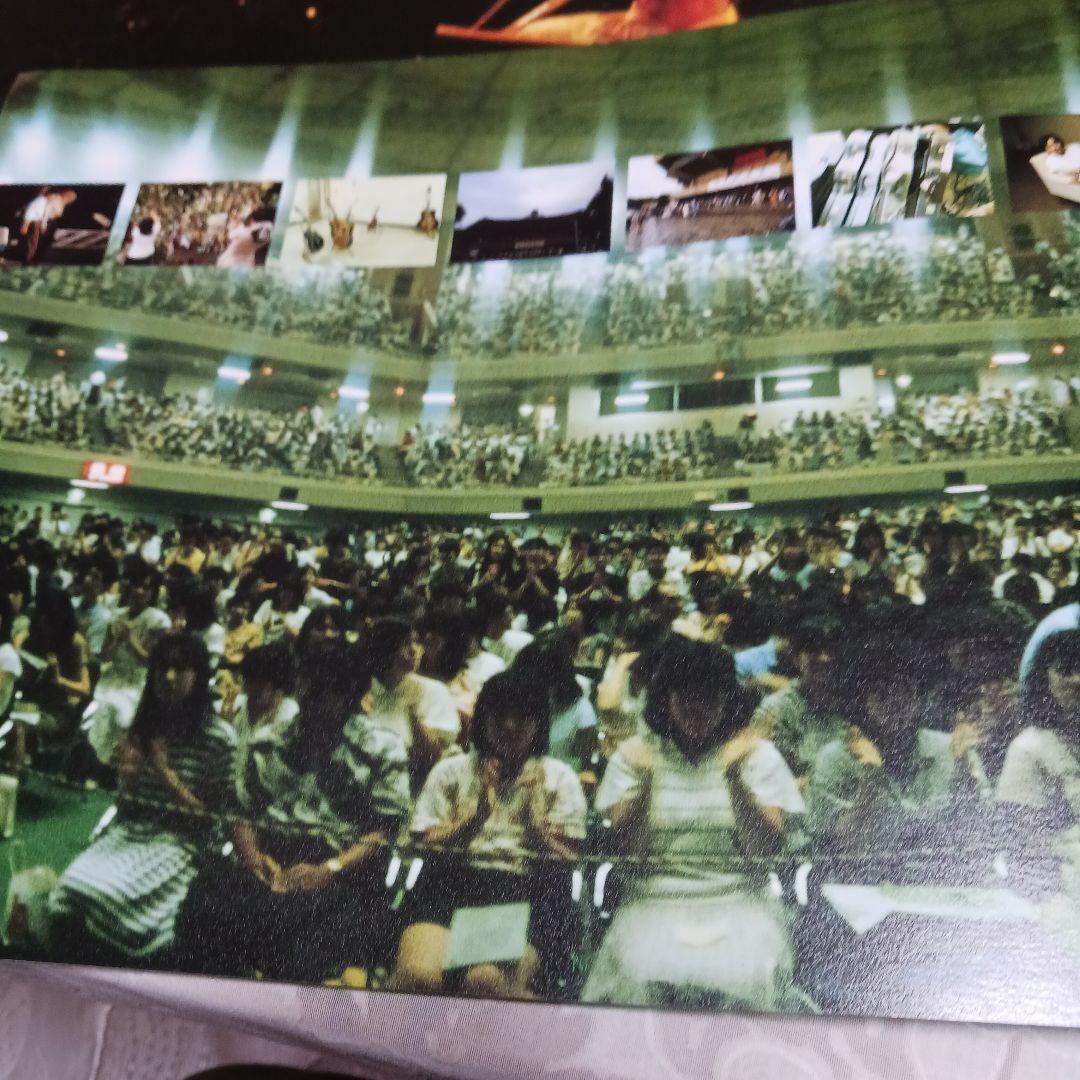 見本盤　ふきのとう 緑輝く日々 LIVE レコード