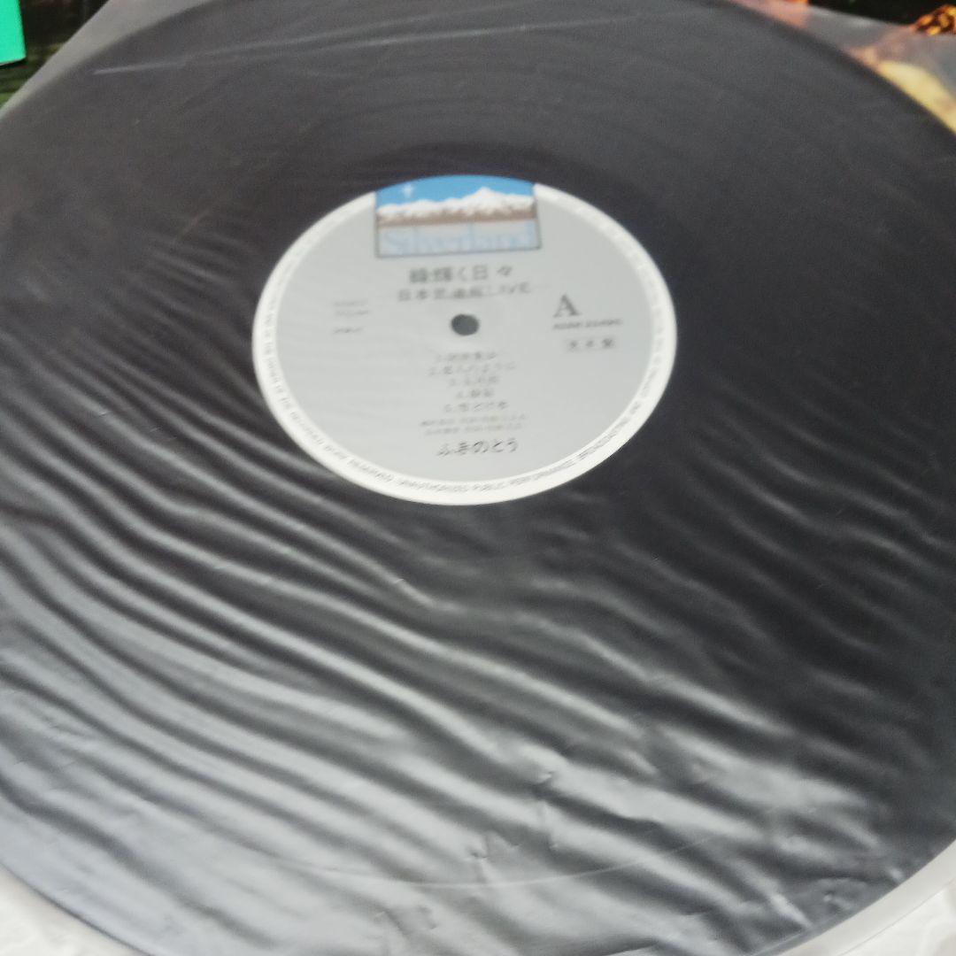 見本盤　ふきのとう 緑輝く日々 LIVE レコード