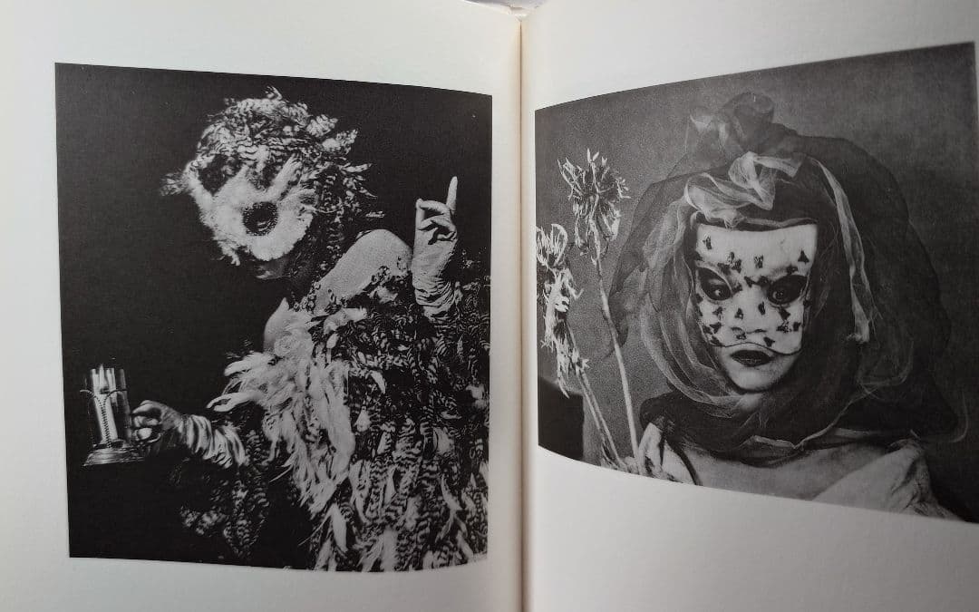 『レオノール・フィニーの仮面』生田耕作 (訳) A・P・ド・マンディアルグ(著）