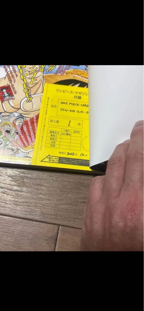 ONE PIECE 2023年特別号 付録付き