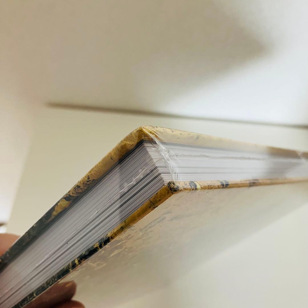 【新品未開封】Anselm KiefeアンゼルムキーファーSOLARIS 二条城