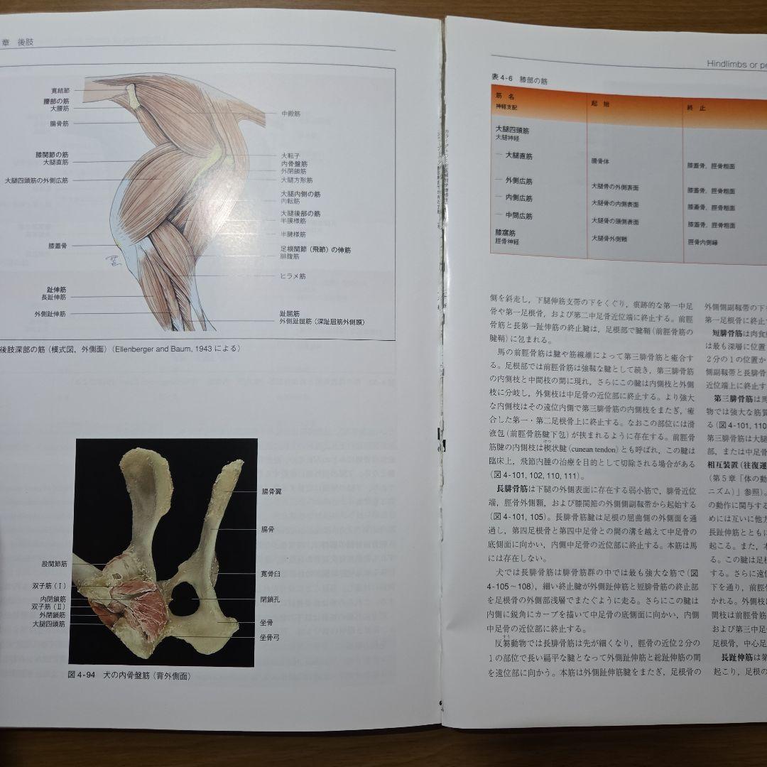 カラーアトラス獣医解剖学 増補改訂第2版 上巻・下巻セット