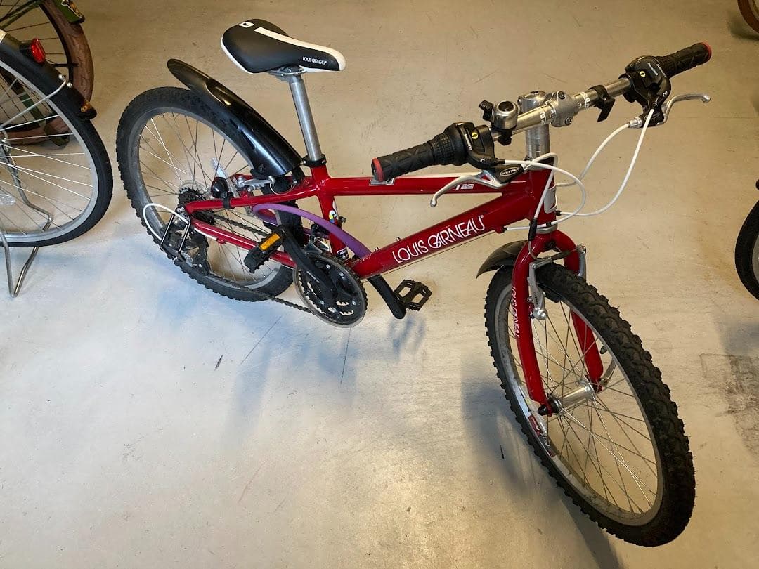 ルイガノ自転車