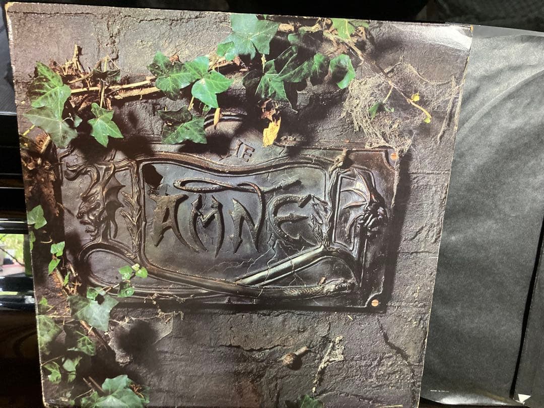 ２枚組輸入盤LP ダムド damned Damnation ブラックアルバム