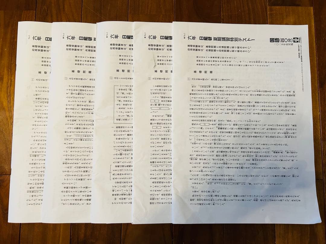 日能研6年（2025年度）公開模試　育成テスト　夏期春期テスト4科目＋おまけ