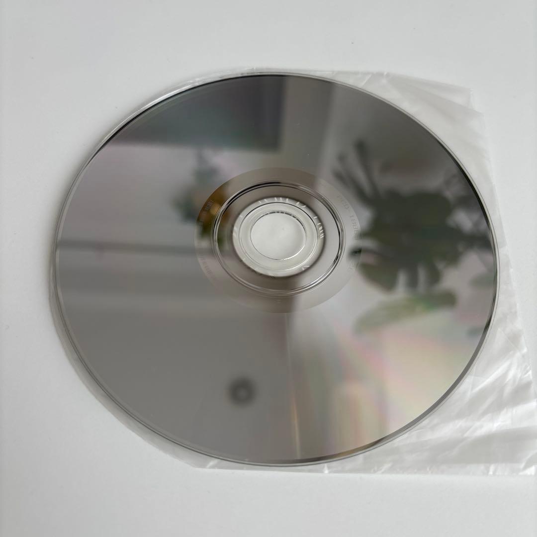 柴田聡子 SATOKO SHIBATA TOUR がんばれメロディ