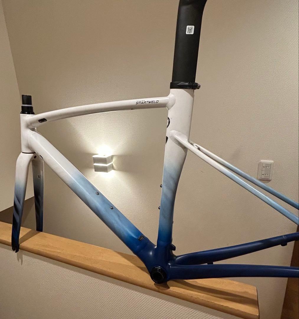 allez sprint アーティストモデル フレームセット