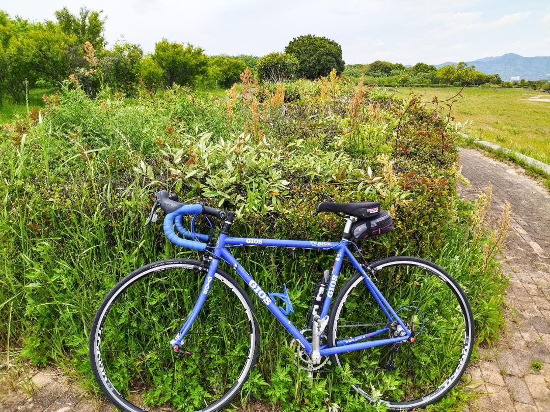 【GIOS】フレーム＋ST＋サドル＋グッズ【FENICE】程度良品＊50サイズ