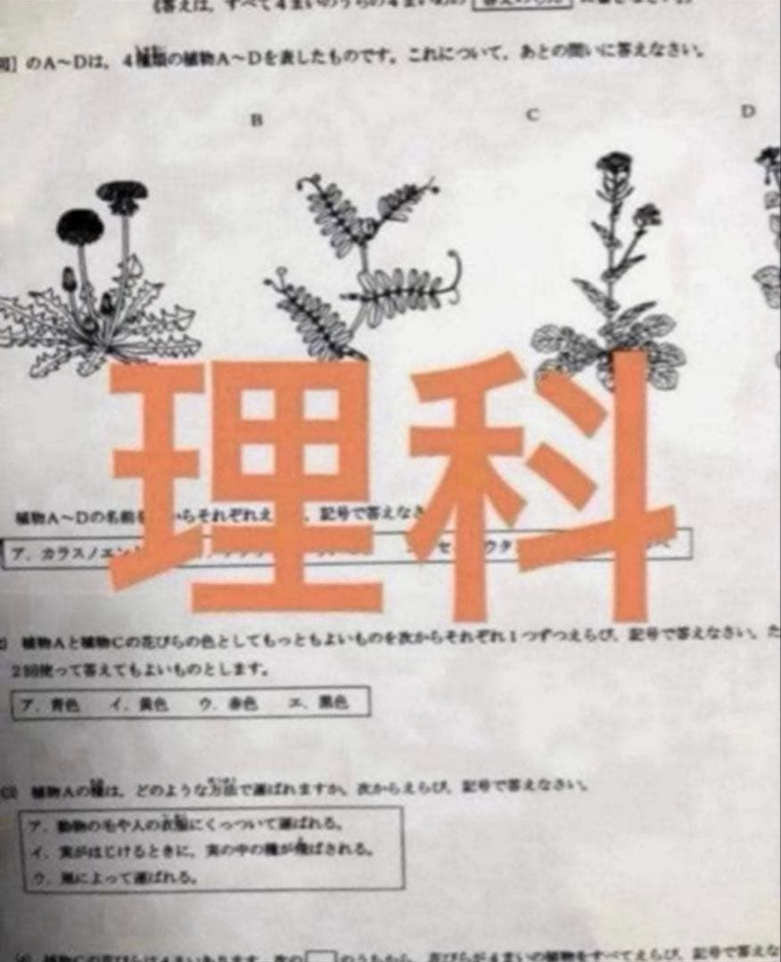 浜学園　小4　2024年度　公開学力テスト　4教科　平均点資料付き、