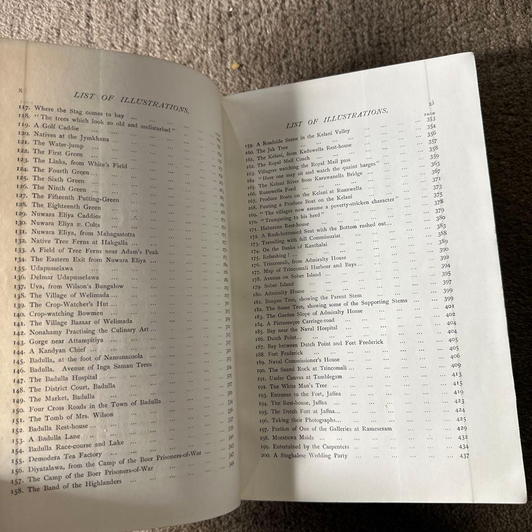 希少 1900年 3面金装飾 GOLDEN TIPS 紅茶 研究書 アンティーク