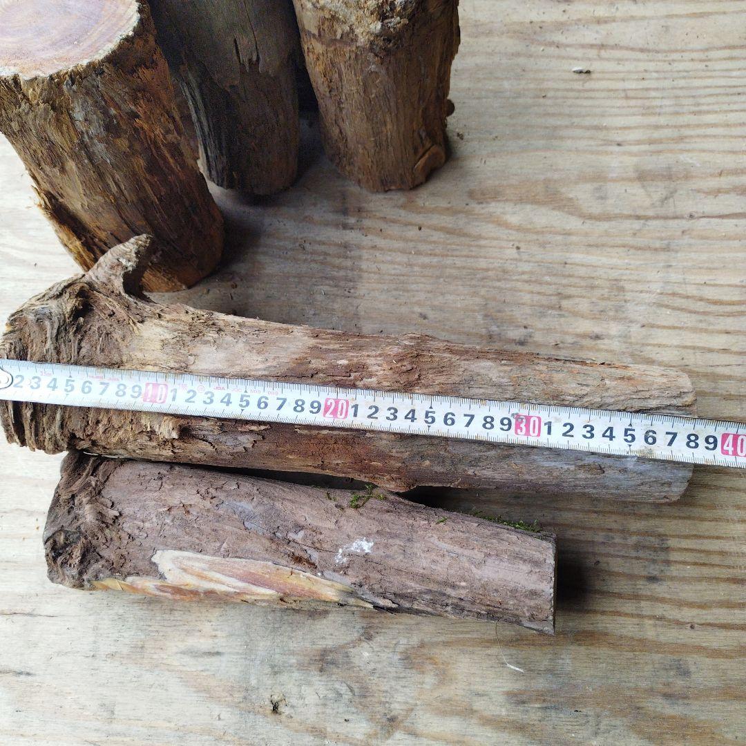 上質ファットウッド8本