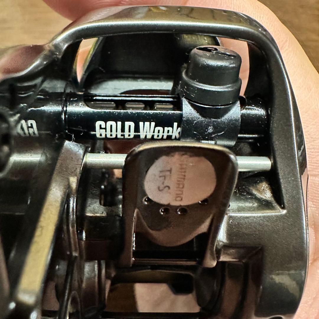 20メタニウム　HG ゴールドワークスチューン