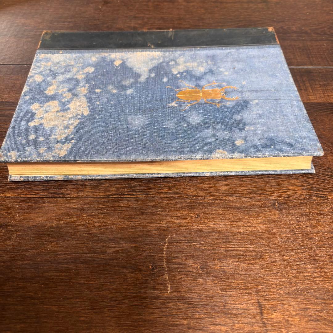 【初版】戦前古書　原色　日本の甲蟲　農学博士　横山桐郎　昆虫　昔の図鑑　戦前