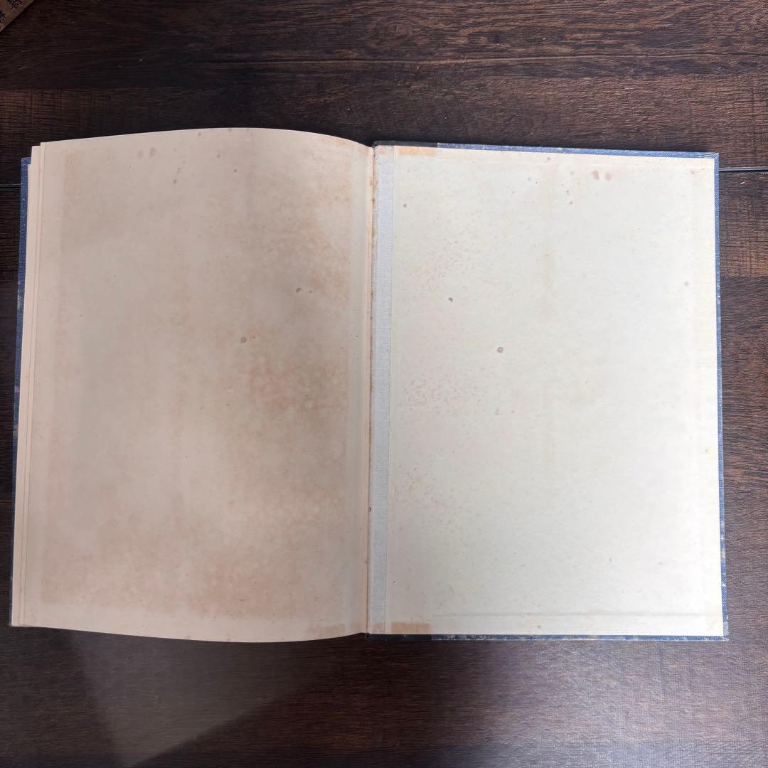 【初版】戦前古書　原色　日本の甲蟲　農学博士　横山桐郎　昆虫　昔の図鑑　戦前