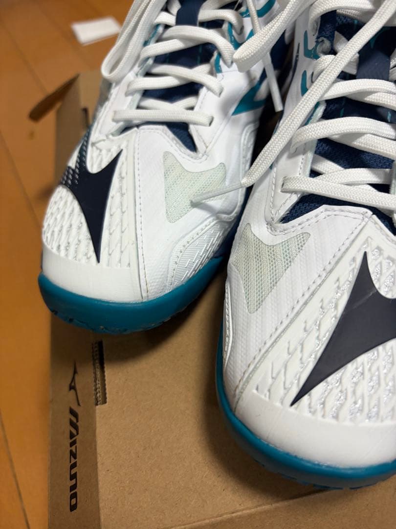 ミズノ テニスシューズ 25cm