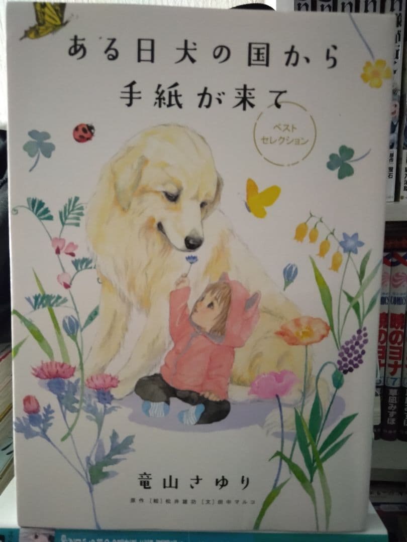 ある日 犬の国から手紙が来て　ほか関連全巻31冊セット本