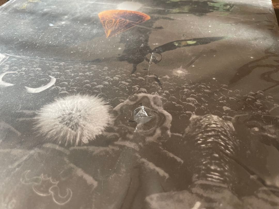 King Gnu CEREMONY レコード　２枚組