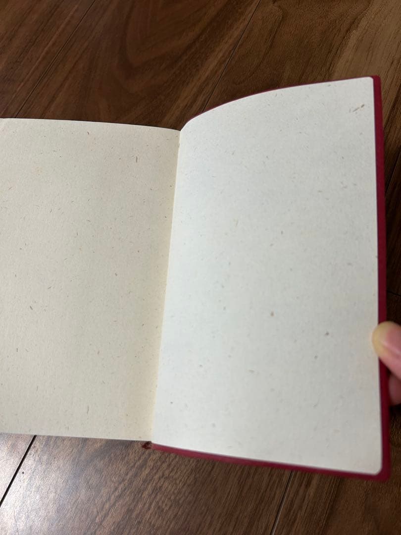 白水社 ドイツ語副詞辞典 岩崎英二郎編