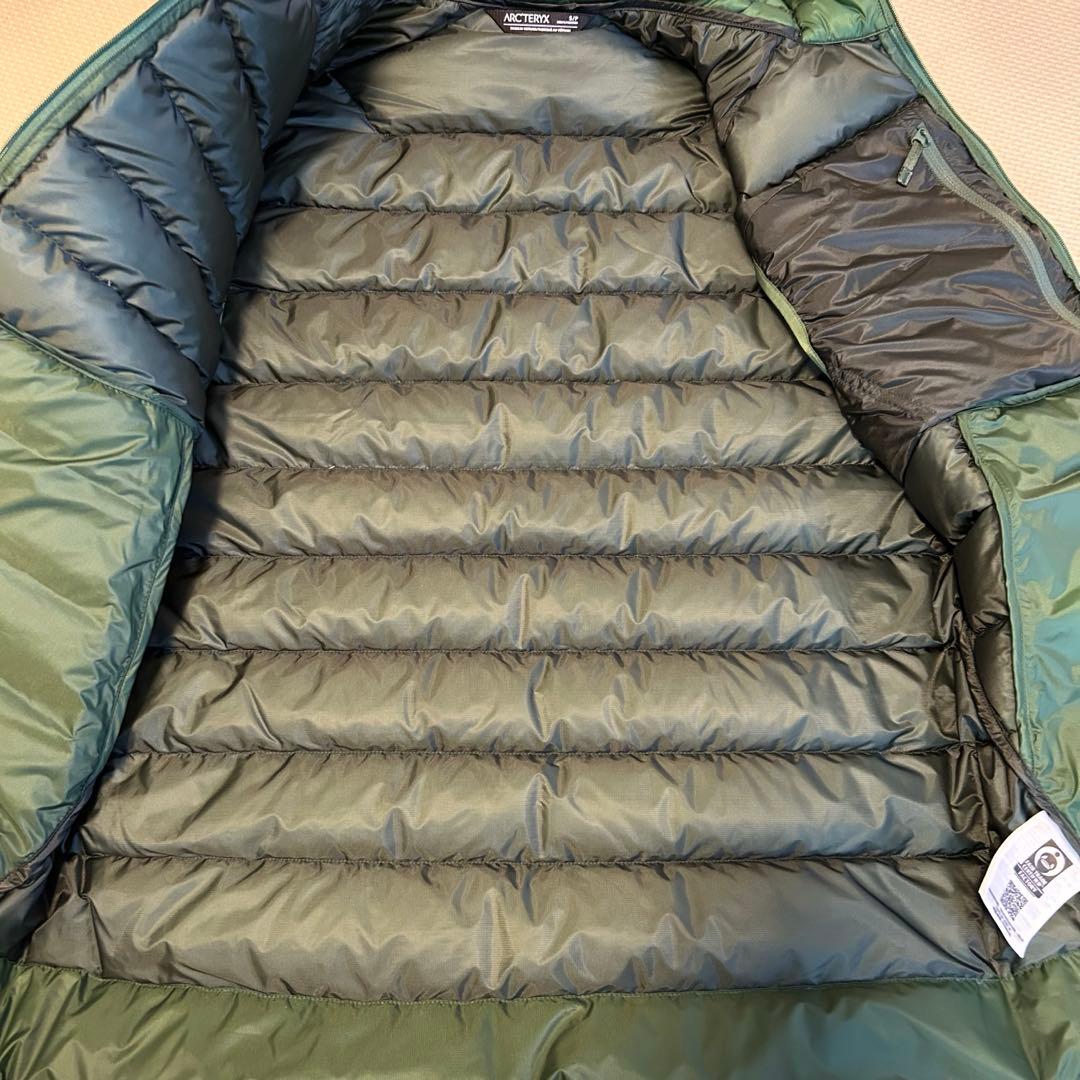 アークテリクス　セリウム ベスト メンズ　エデン