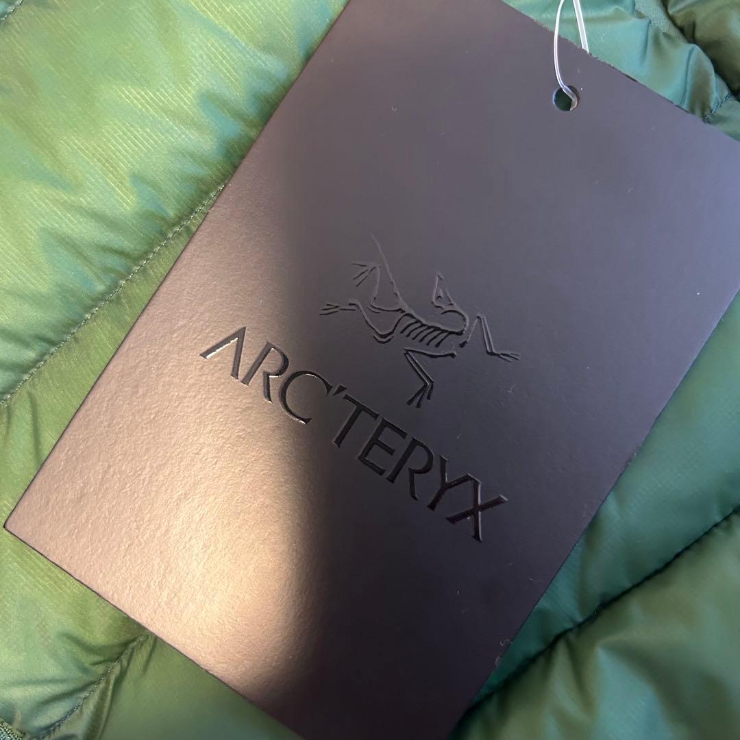 アークテリクス　セリウム ベスト メンズ　エデン