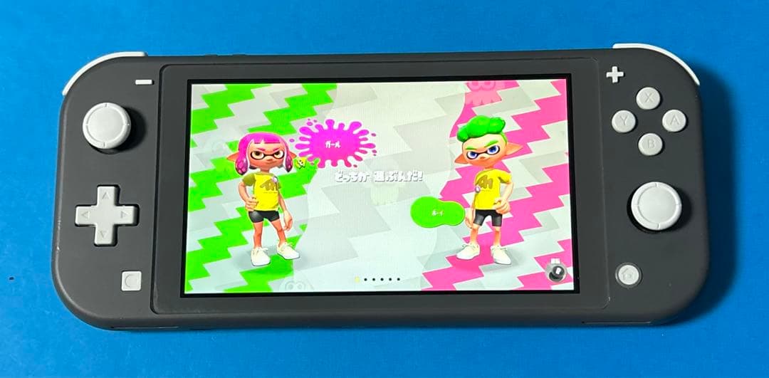 Nintendo Switch Lite グレー本体　箱付き 【動作確認済】