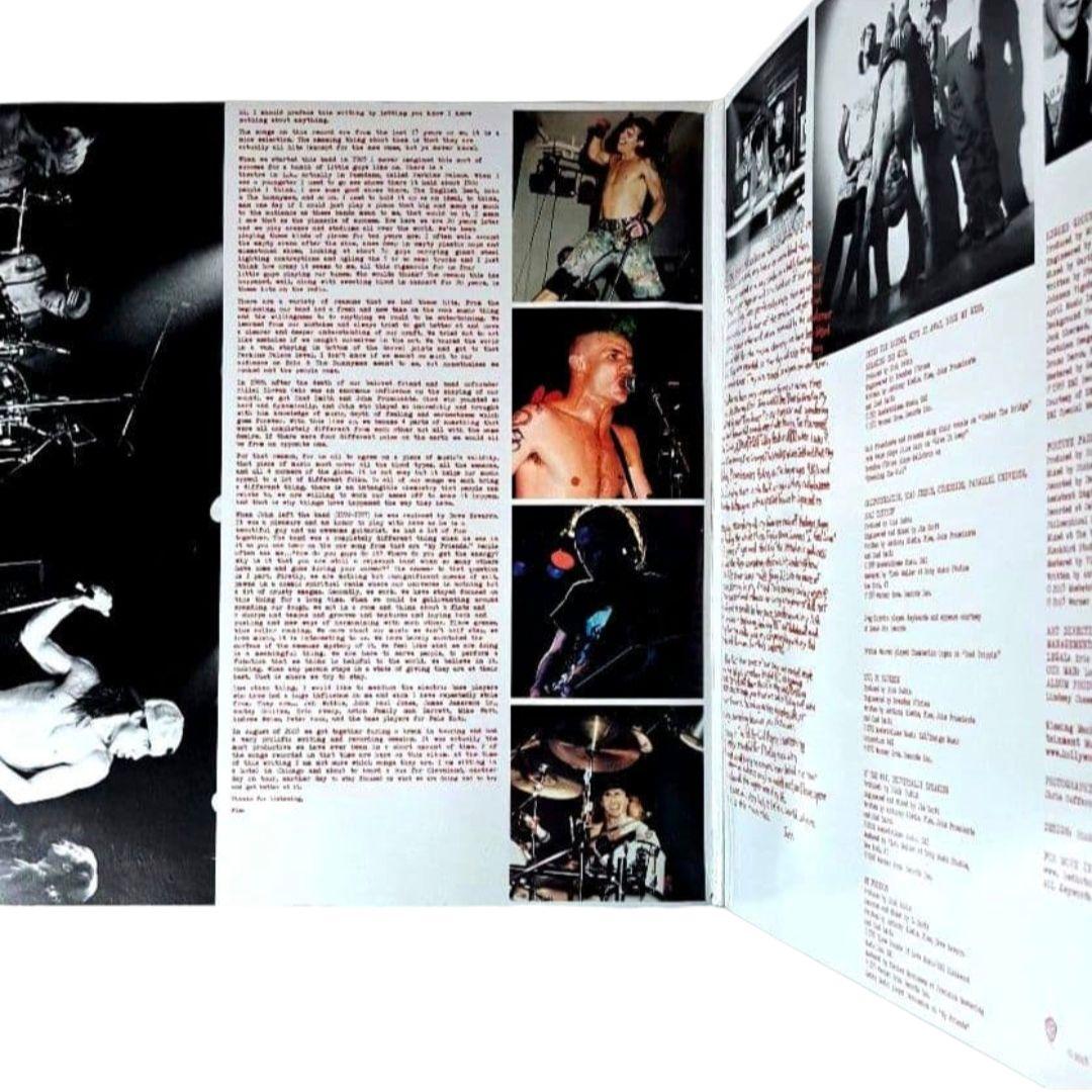 Red Hot Chili Peppers　Greatest Hits　レコード