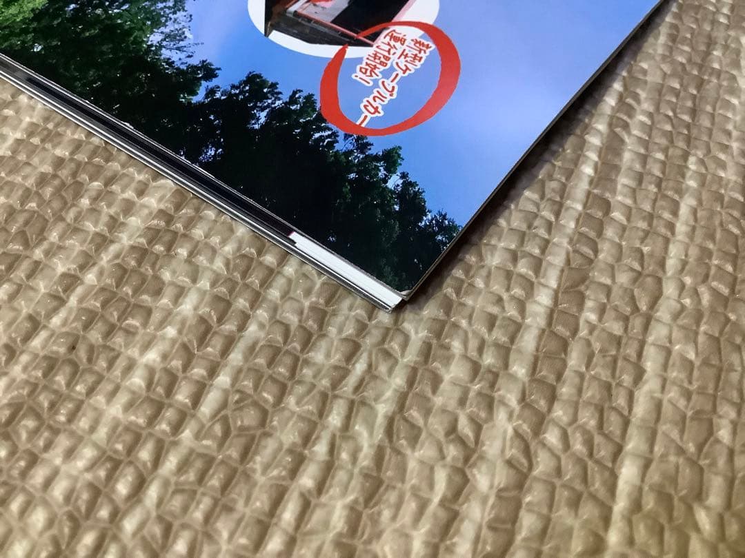 ￼2019年　大相撲３月場所　大阪場所　パンフレット