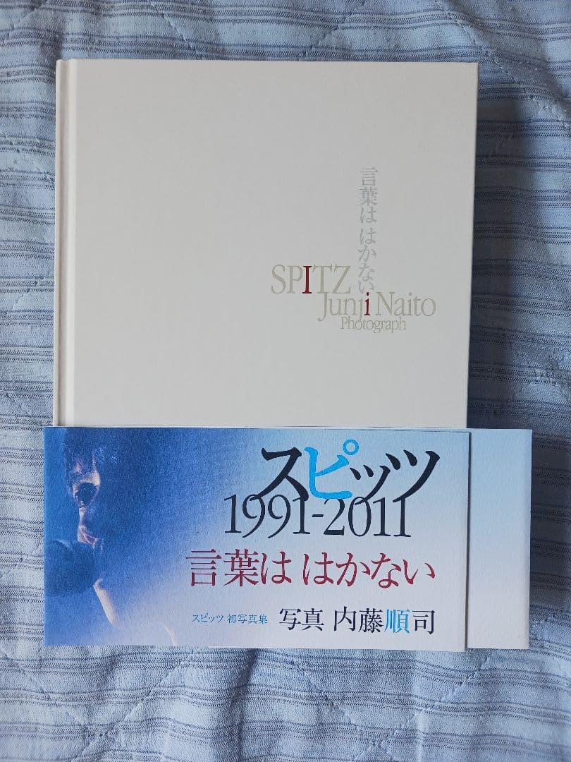スピッツ　グッズまとめ とげまるDVD　写真家　ファン雑誌、キーホルダー等