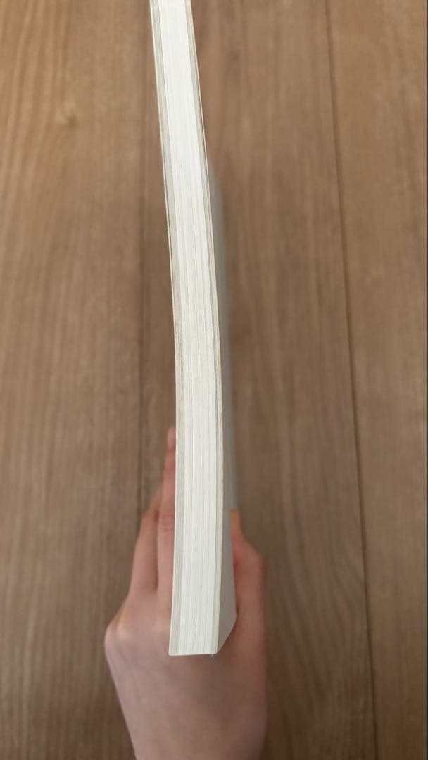 ニコラ・ド・スタール展カタログ