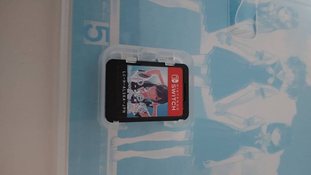 Switch LOVER KISS(ラブアールキス)美品スイッチ版