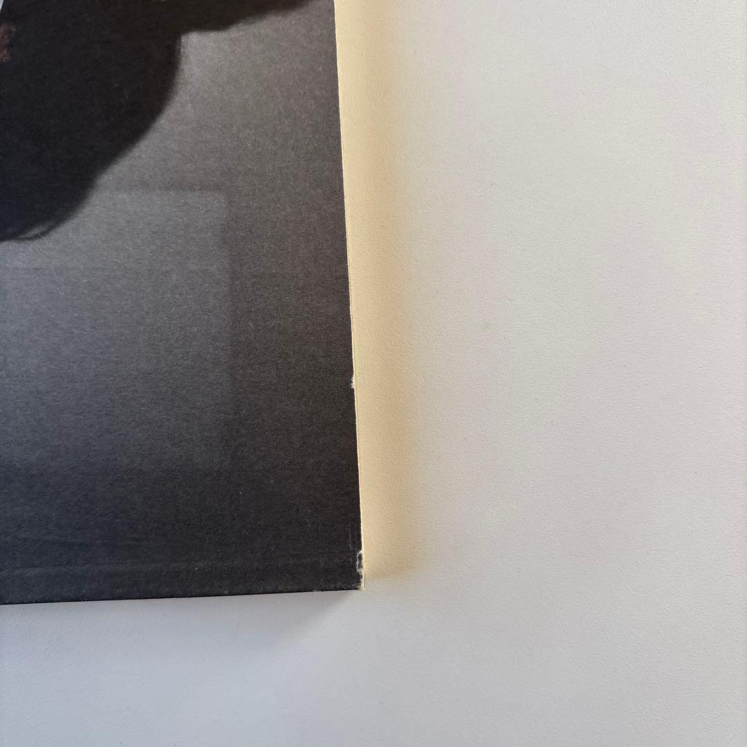 洋書 BABYBABYBABY Issue6 Valerie Phillips