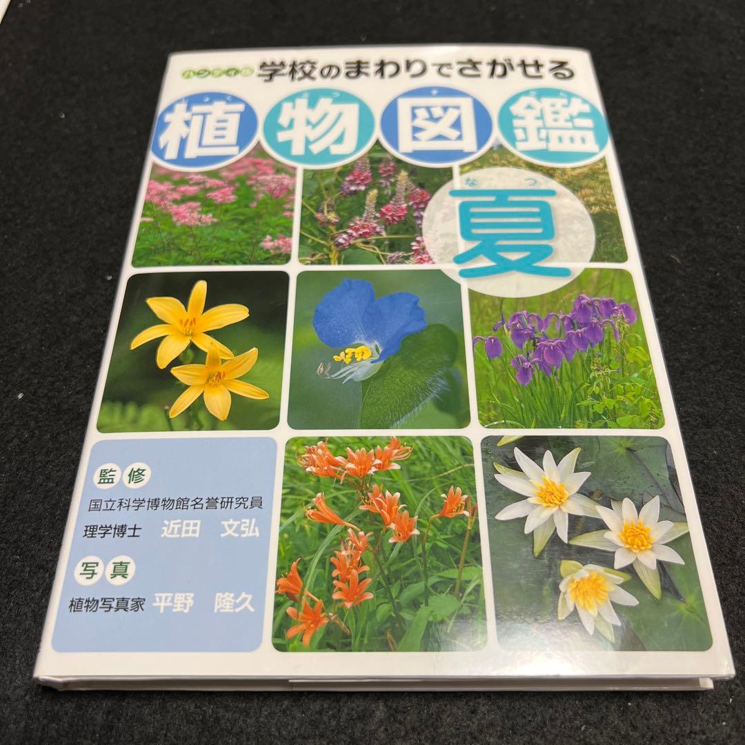 学校のまわりでさがせる植物図鑑 ハンディ版 春 夏 秋冬 樹木 全4冊セット