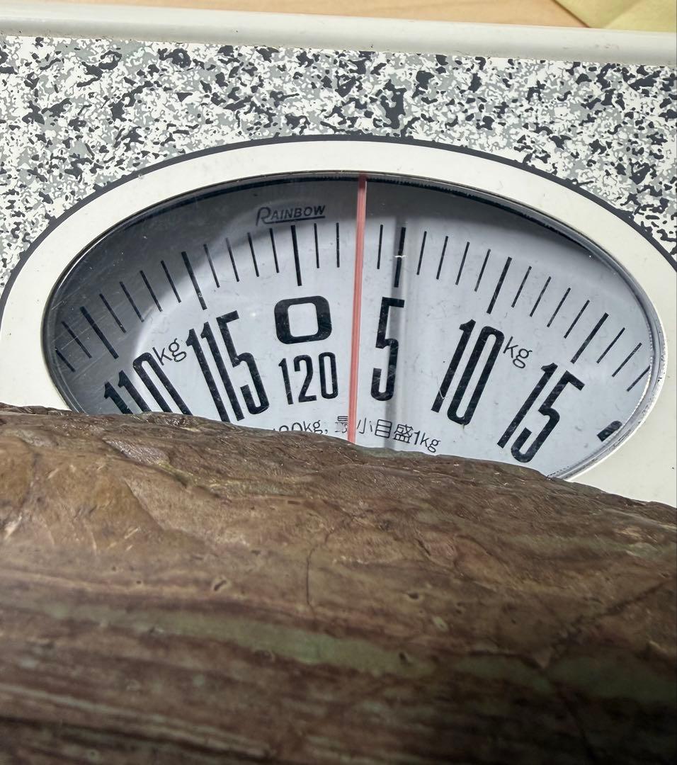 未使用 箱付き 赤間硯 赤間紫金石 昭竜山作 約3キロ