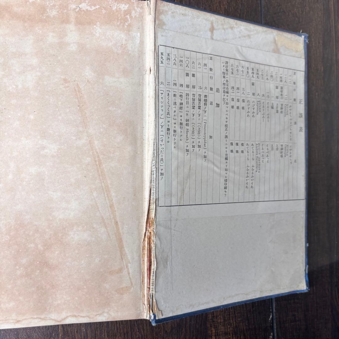 戦前古書　ふをるそむ氏　昆蟲学　貴重　レア　戦前　明治時代