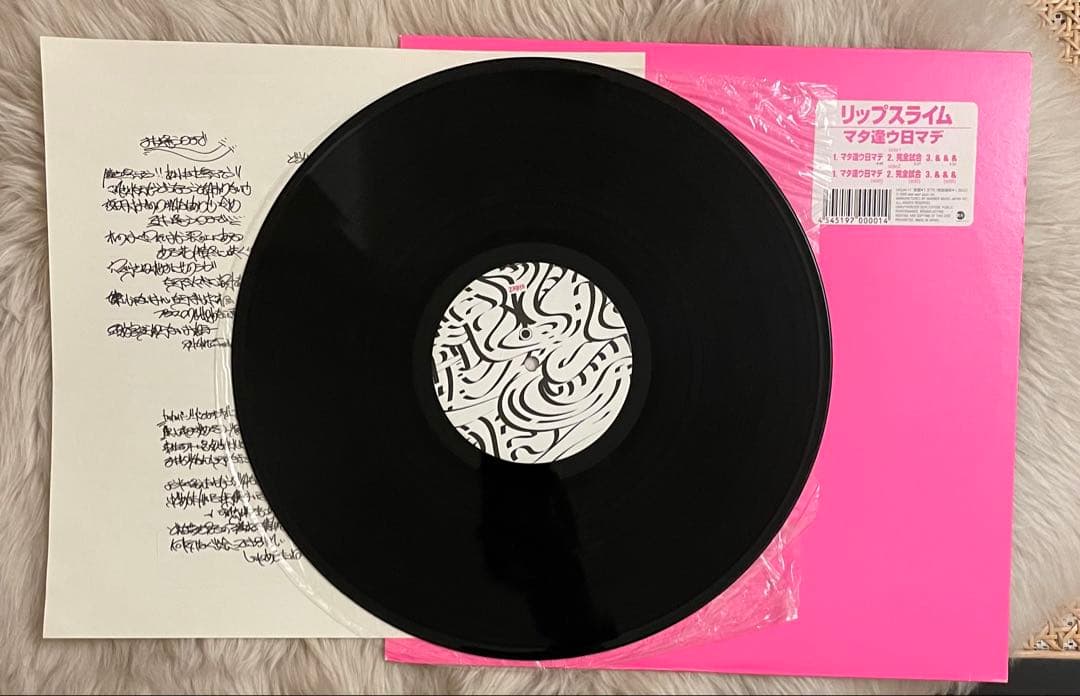 【レア美盤】RIP SLYME /マタ逢ウ日マデ 12inch レコード