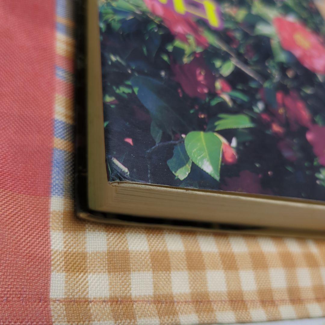 カメリア館 わたなべまさこ名作集　集英社　初版