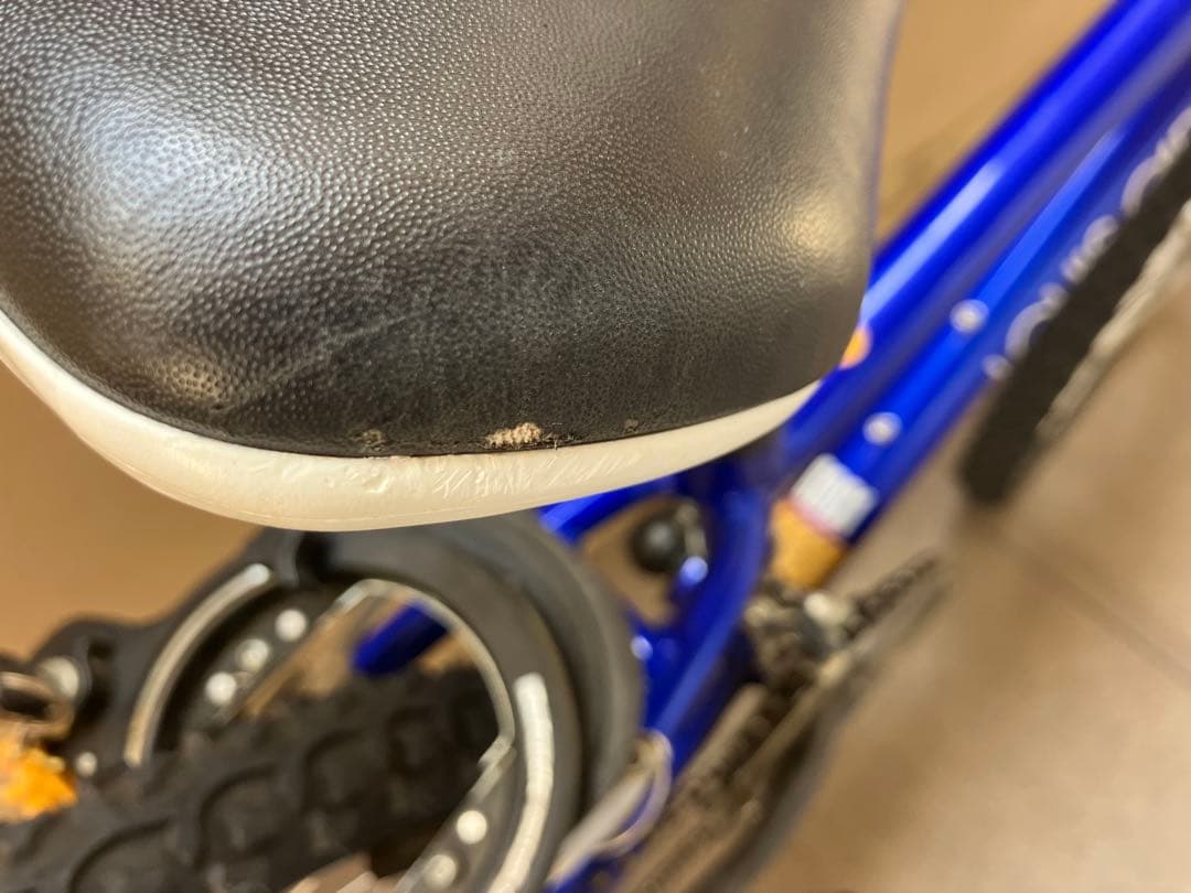 LOUIS GARNEAU 子供用マウンテンバイク 青22インチ京都市