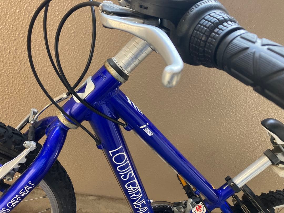 LOUIS GARNEAU 子供用マウンテンバイク 青22インチ京都市