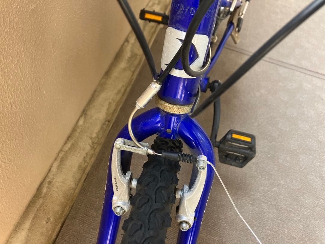 LOUIS GARNEAU 子供用マウンテンバイク 青22インチ京都市