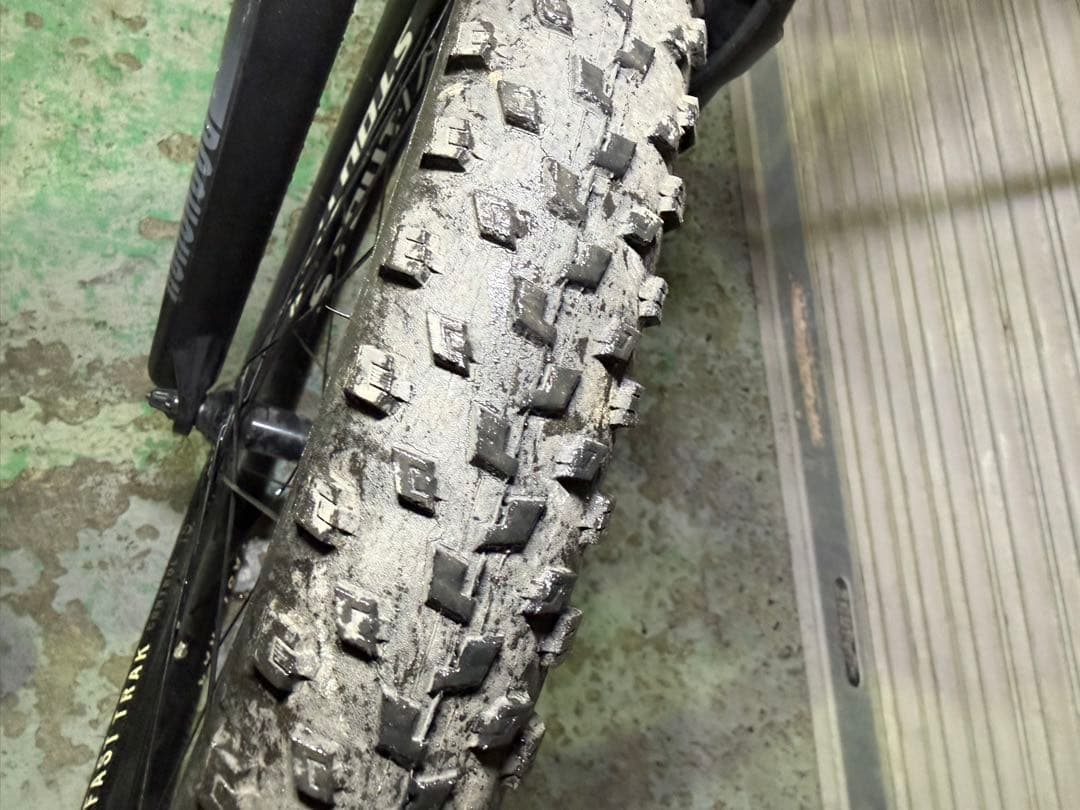 Specialized Rockhopper 29インチ