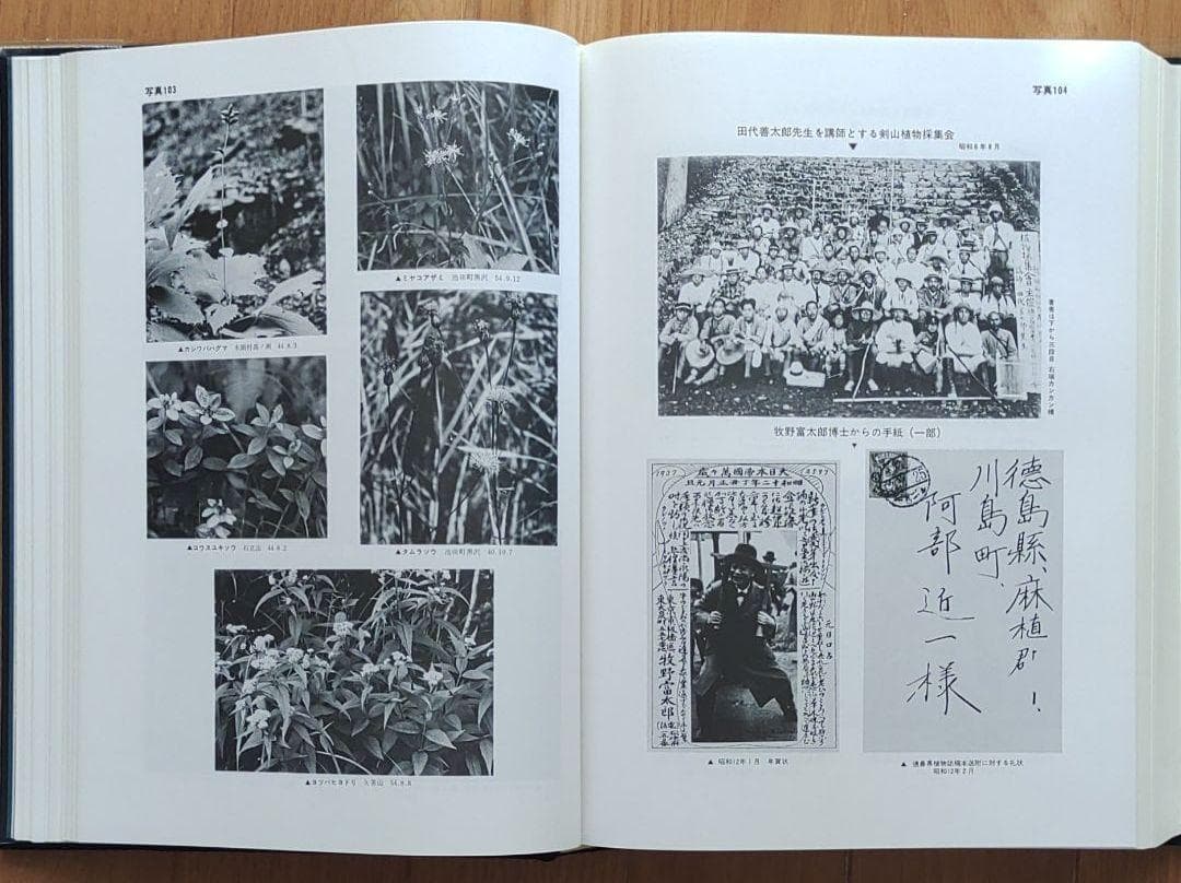 『徳島県植物誌』 阿部近一　～「牧野富太郎博士 剣山で行方不明に」の顛末も