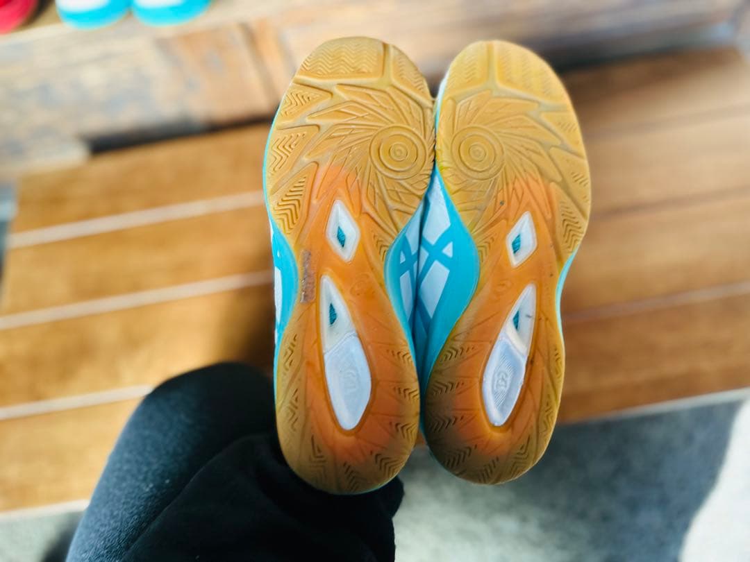 デスタッキ　インドア　26cm