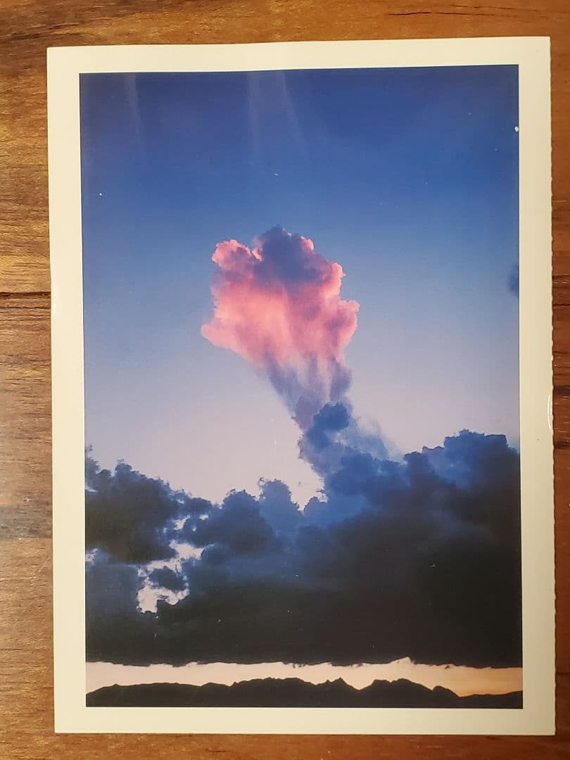 アート・デザイン・音楽 Wolfgang Tillmans SNAP ART COLLECTION 3