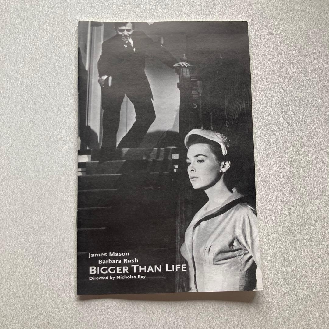 ビガーザンライフ 黒の報酬(’56米) DVD 廃盤