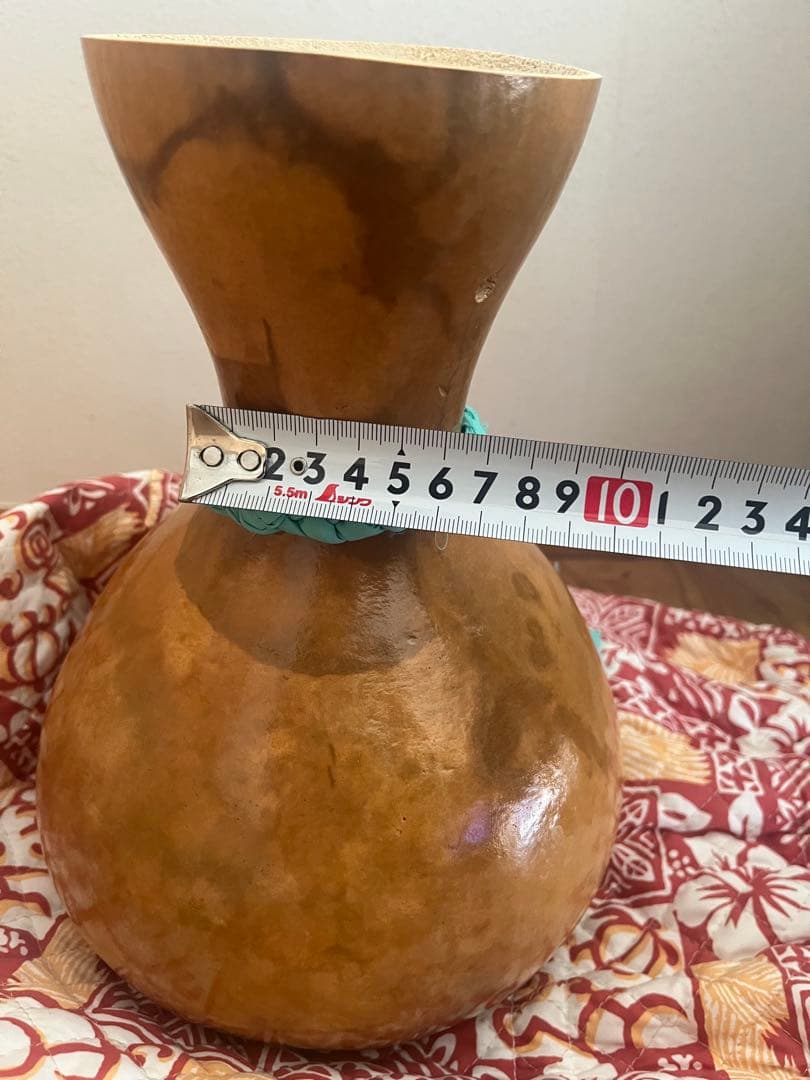 イプ　袋ケース付き