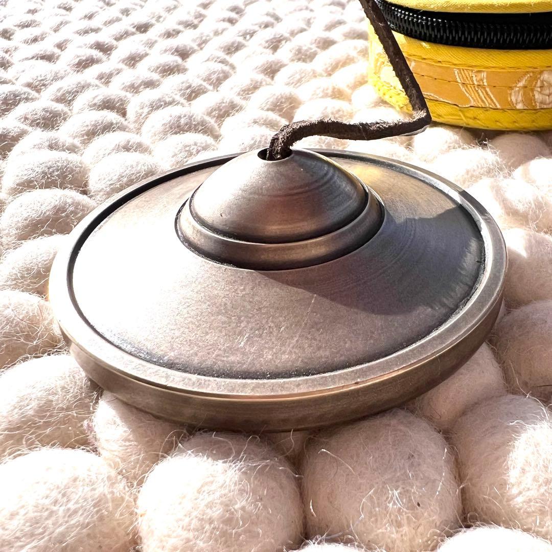 ESP.ホーリーティンシャN 7.9cm ※専用ケース付き