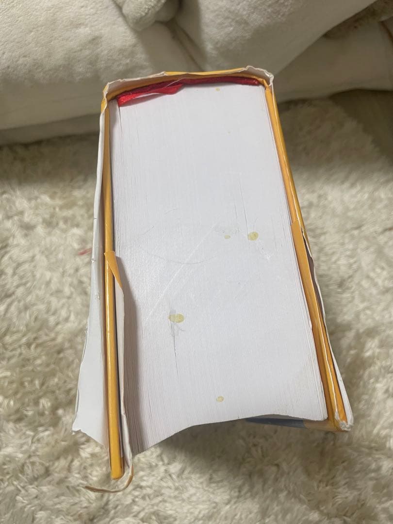 ベトナム語国語辞典