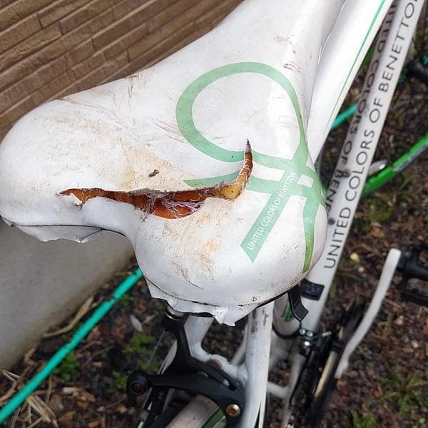 引取のみ　BENETTON クロスバイク FEVER7.0C　3×7速 21速