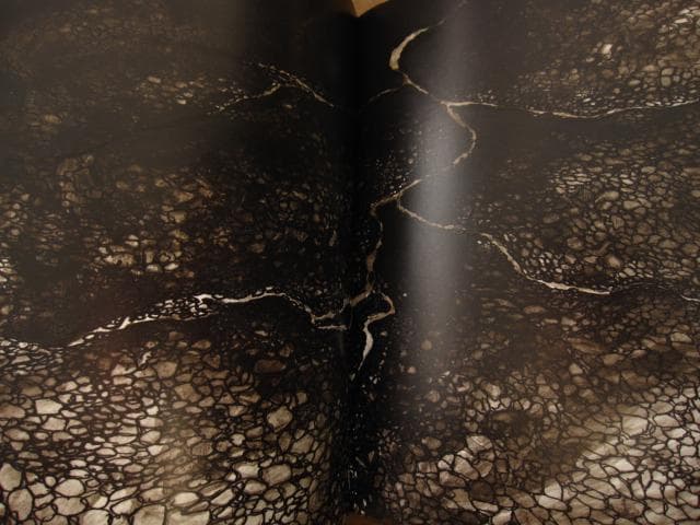 アート・デザイン・音楽 Philippe Parreno: C.h.z.